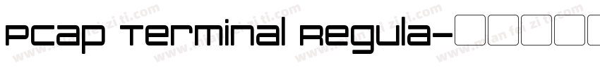 PCap Terminal Regula字体转换